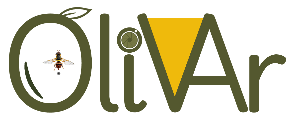 Logo-Olivar-v2