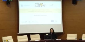 olivar